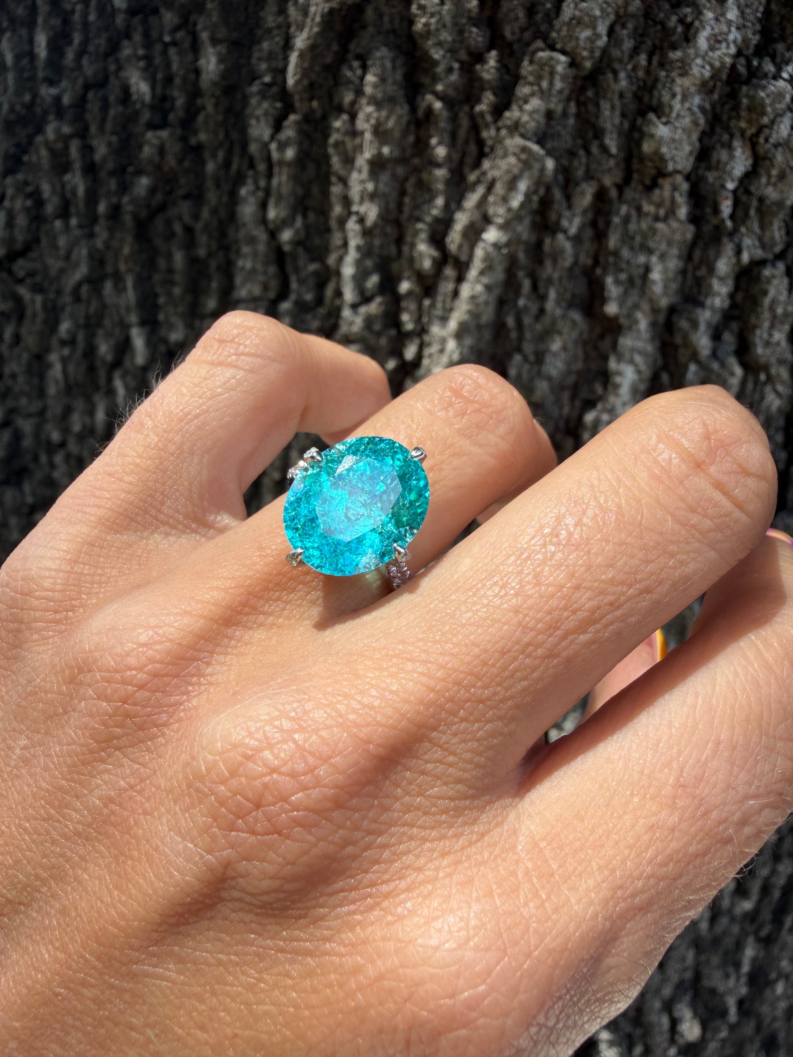 Oceana Paraiba Ring
