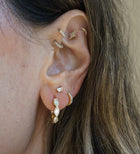 Marquise Hoops