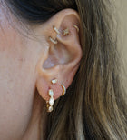 Marquise Hoops