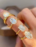 The Marquise Masterpiece
