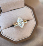 The Marquise Masterpiece