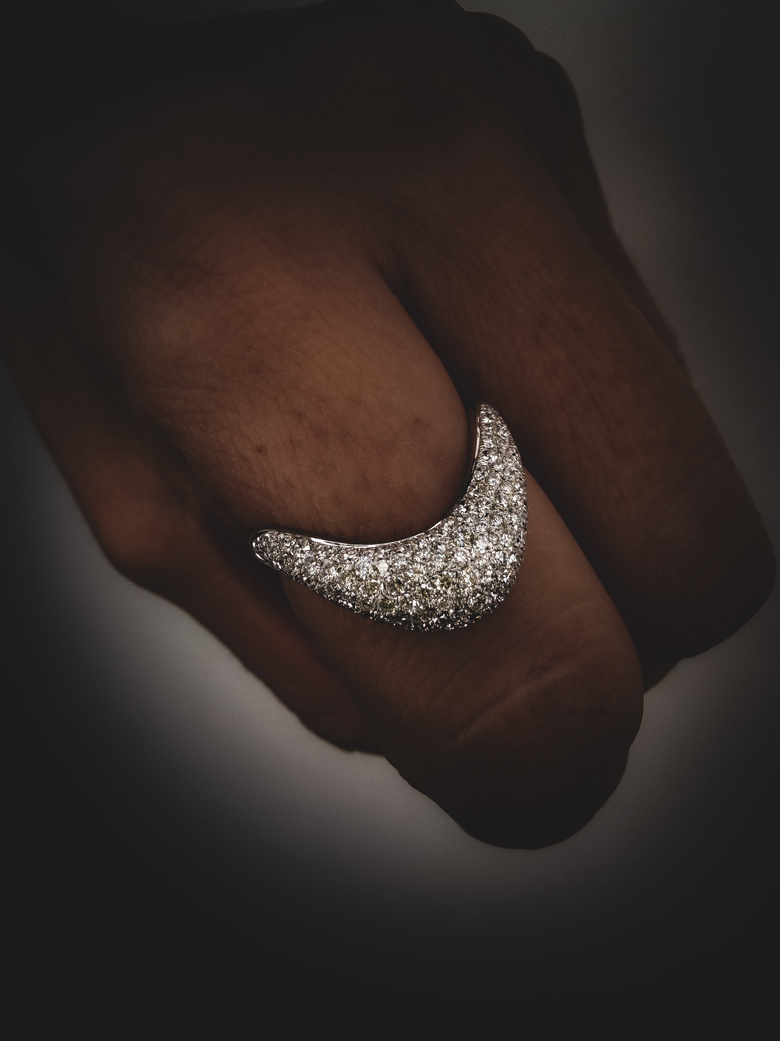 The Nova Curve Ring