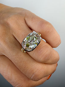 The Heirloom Capsule Cushion Ring