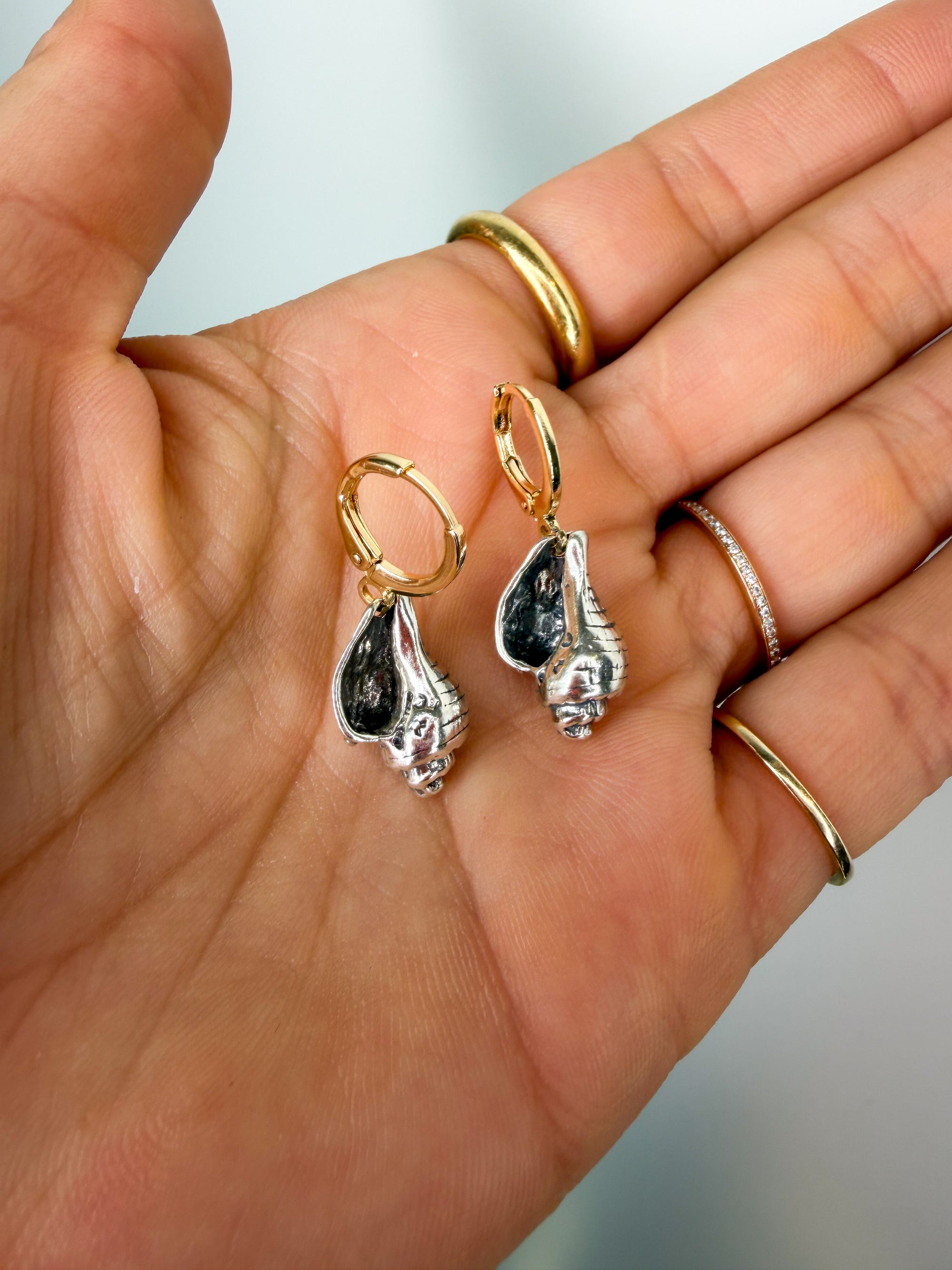 Silver Conch Earrings