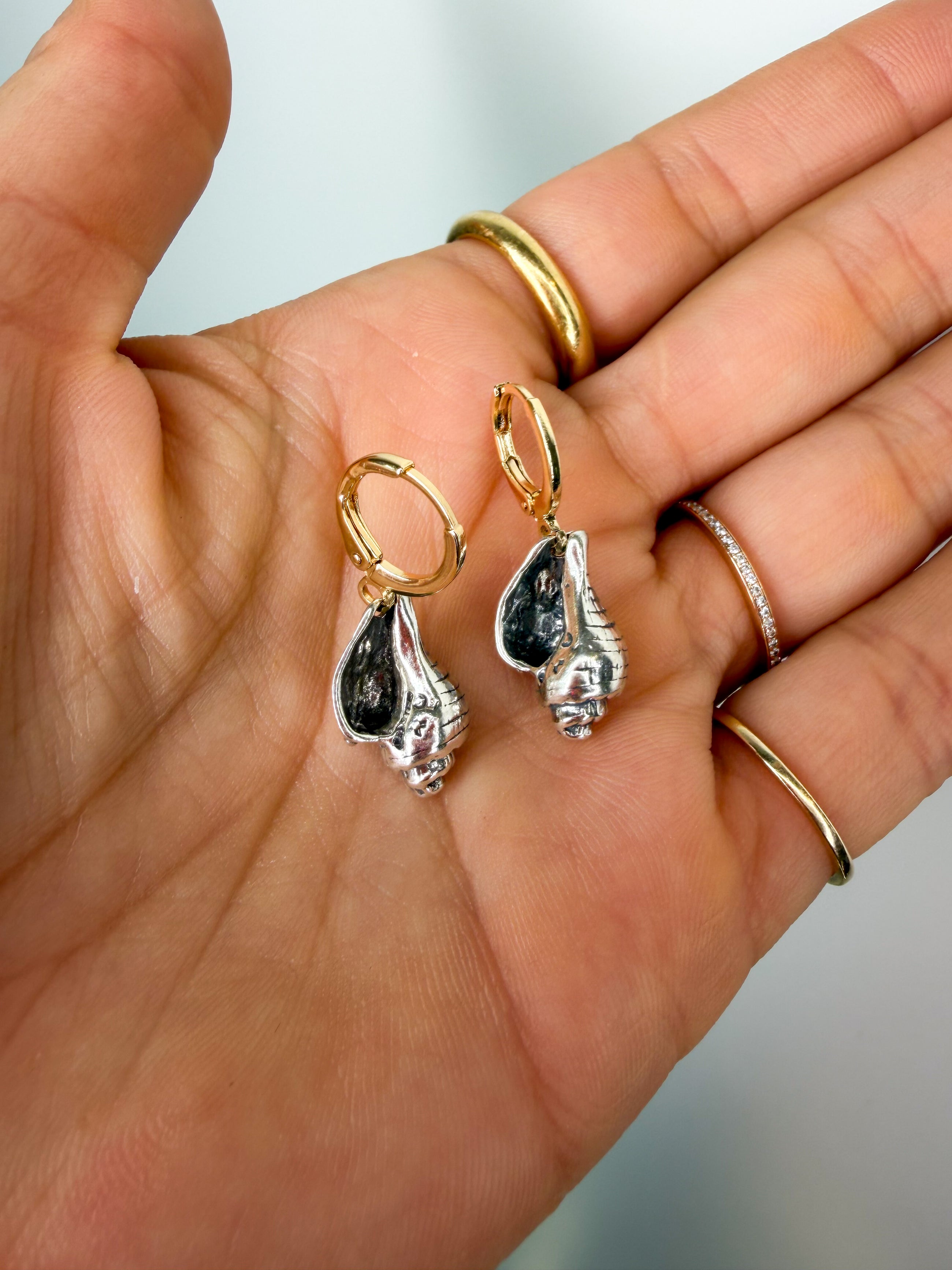 Silver Conch Earrings