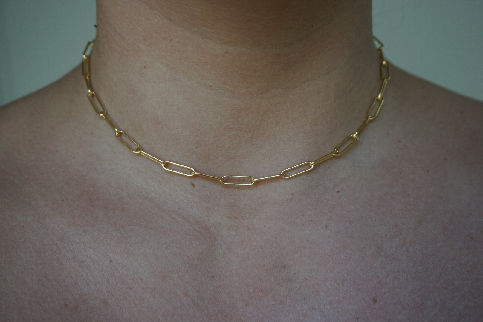 Large Link Chain Necklace
