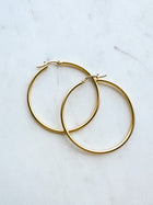 Matte Gold Hoops